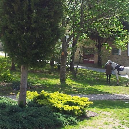 Alda Palas De Rei Palas de Rei Exterior foto