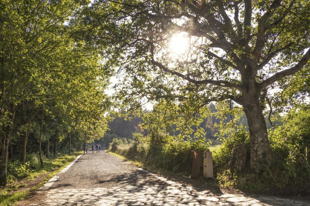 Alda Palas De Rei Palas de Rei Exterior foto